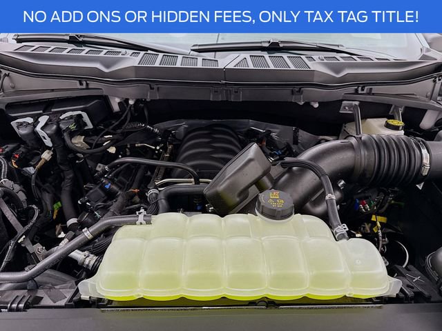 New 2025 Ford F150 XLT w/ Equipment Group 302A MID image 30