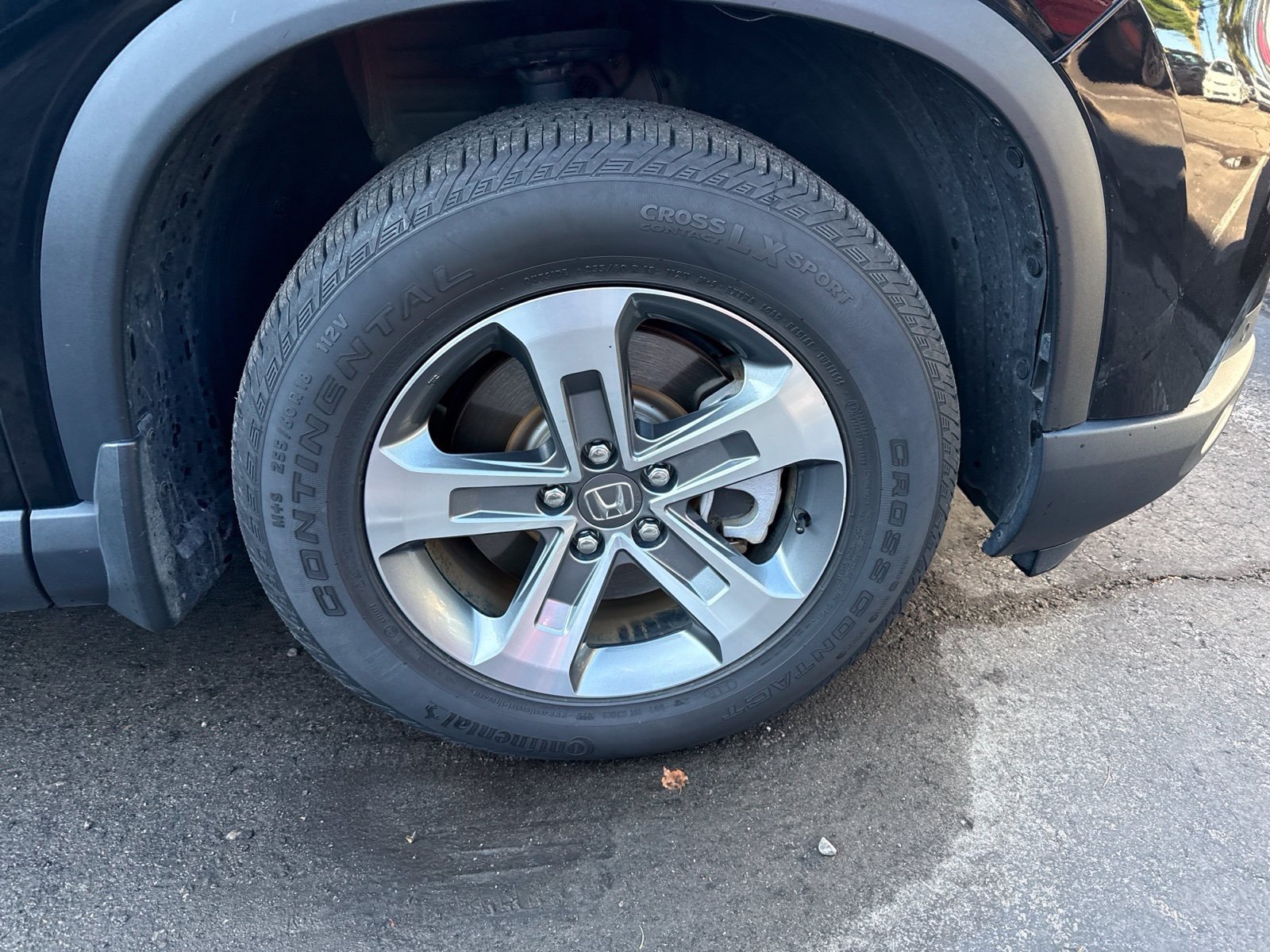 Certified 2025 Honda Pilot EX-L image 11