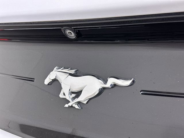 Used 2019 Ford Mustang Premium w/ Equipment Group 201A RWD image 32