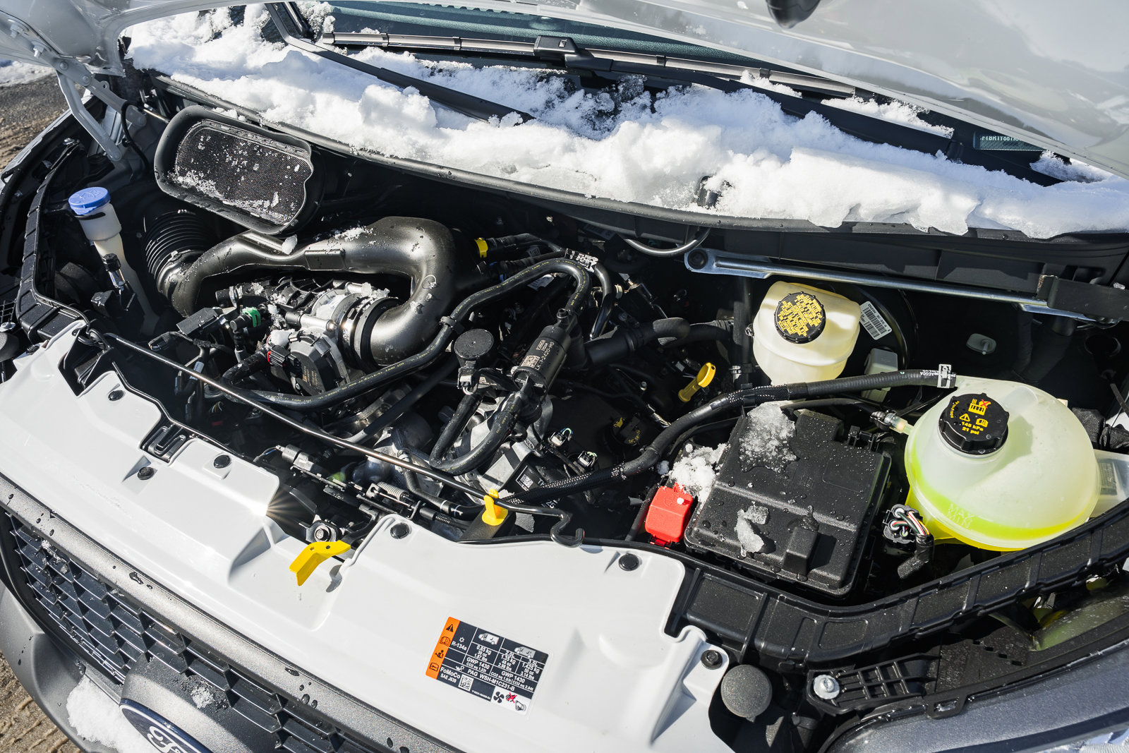 New 2026 Ford Transit 250 Low Roof w/ Load Area Protection Package RWD image 21