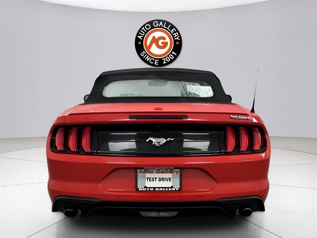Used 2023 Ford Mustang Premium image 6