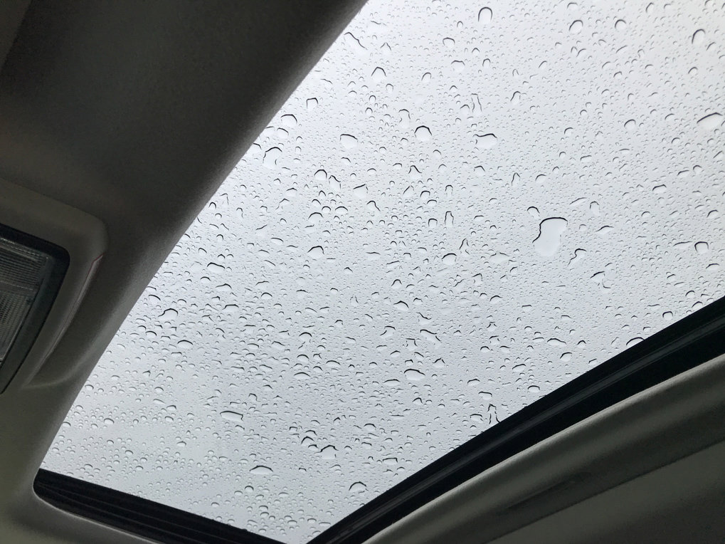 Certified 2020 Toyota 4Runner Limited image 24