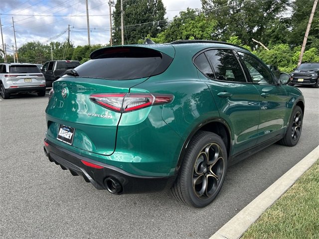 New 2025 Alfa Romeo Stelvio Sprint image 8
