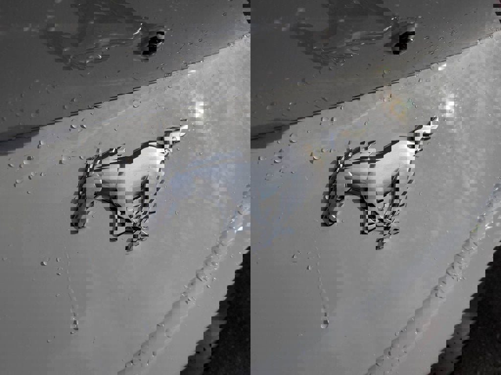 New 2026 Ford Mustang Coupe image 14