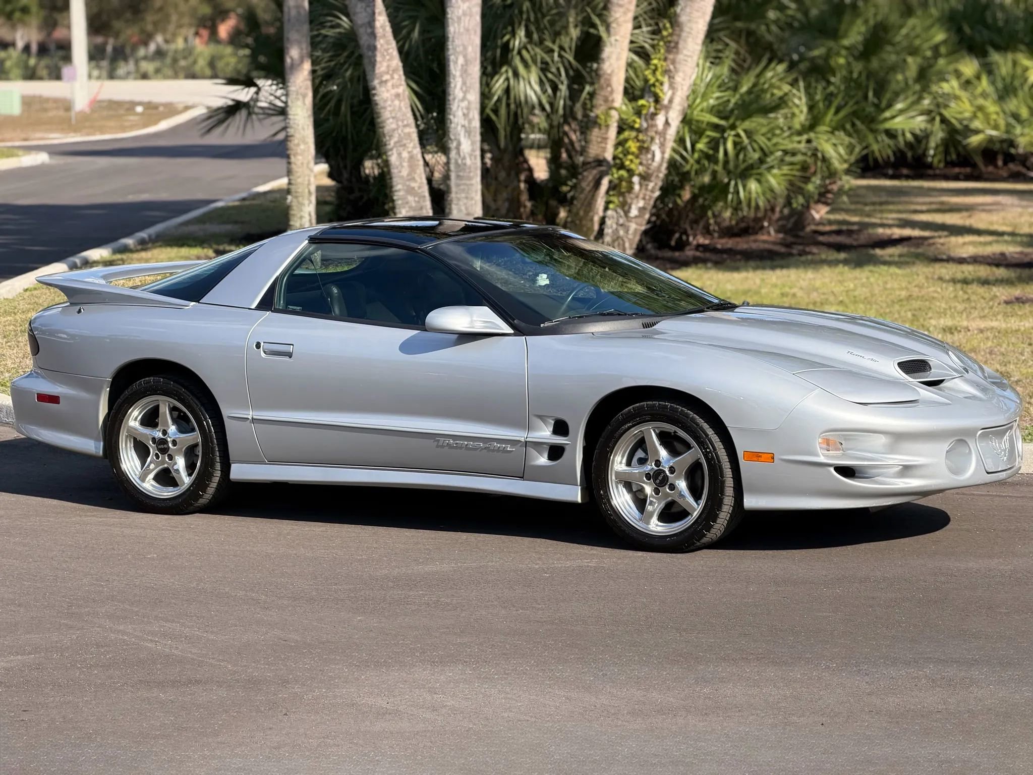 Used 2000 Pontiac Firebird Formula image 3