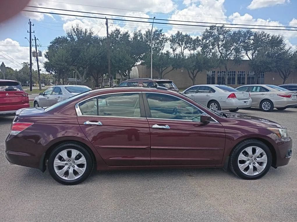 Used 2010 Honda Accord EX-L image 6