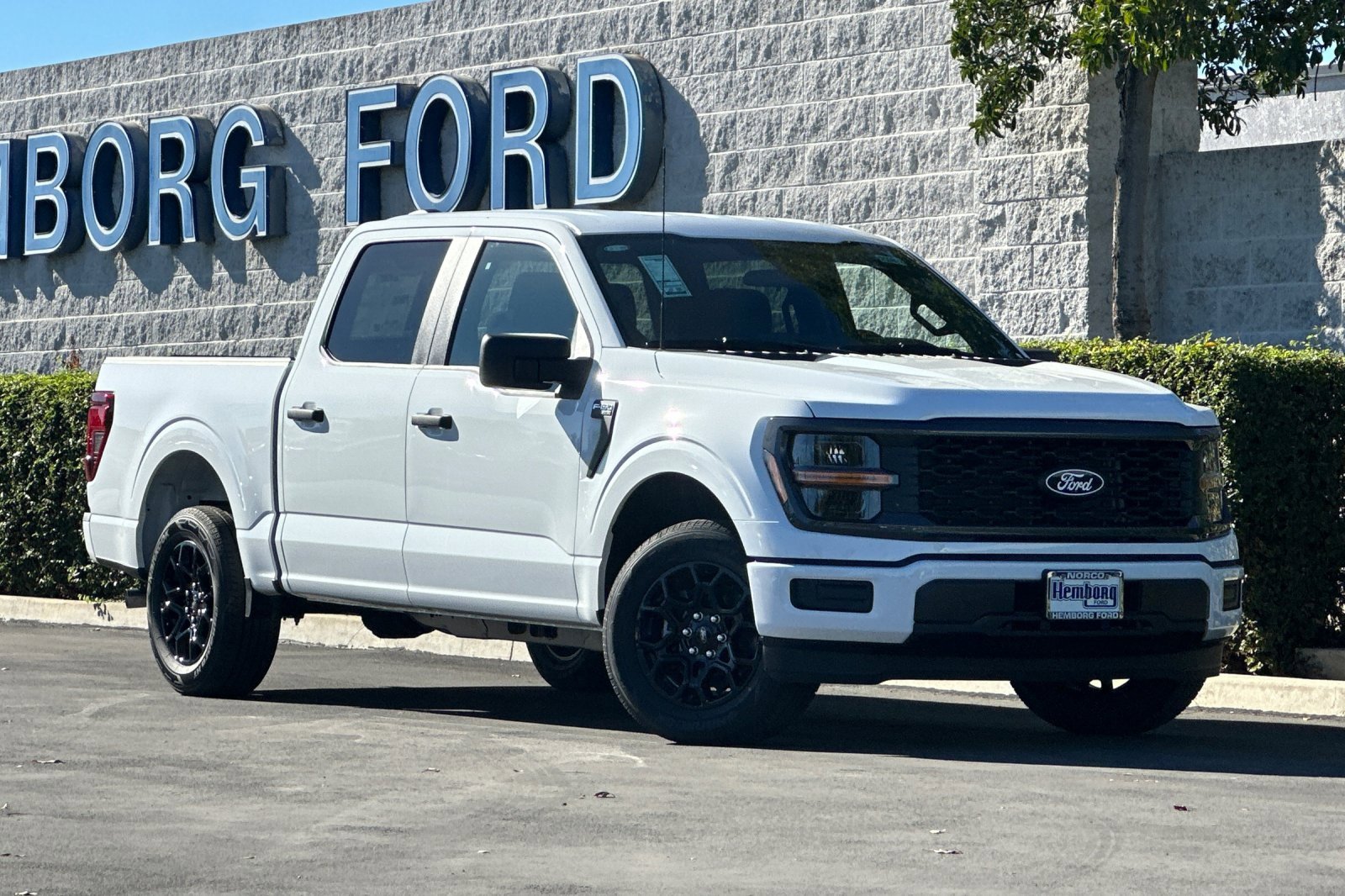 New 2025 Ford F150 STX image 2