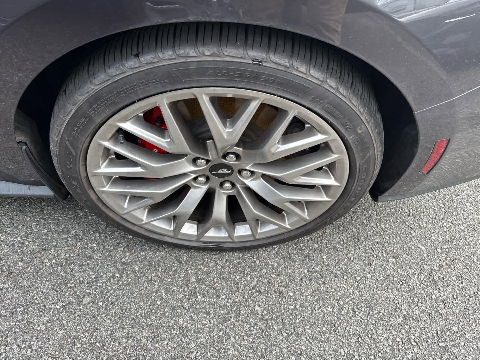 Used 2024 Ford Mustang GT Premium image 5