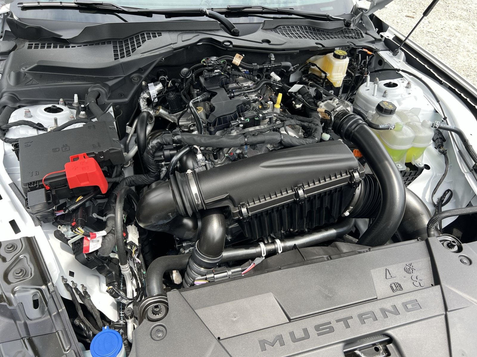 New 2026 Ford Mustang Coupe RWD image 25