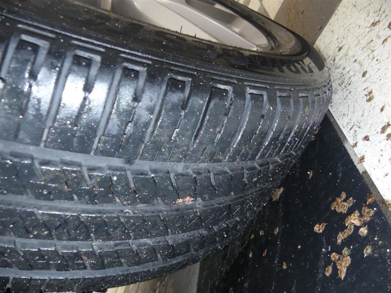 Used 2024 Dodge Durango R/T image 35