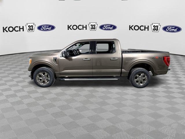 Used 2022 Ford F150 XLT w/ Equipment Group 302A High image 5