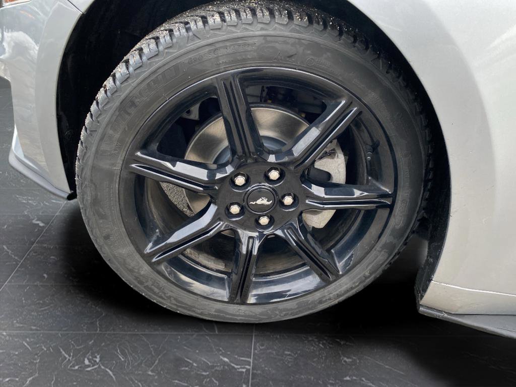 Used 2020 Ford Mustang EcoBoost w/ Equipment Group 101A image 51