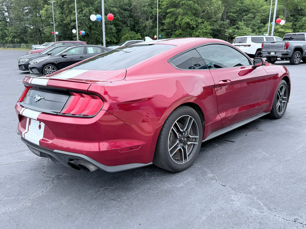 Used 2021 Ford Mustang Premium w/ Equipment Group 201A RWD image 6