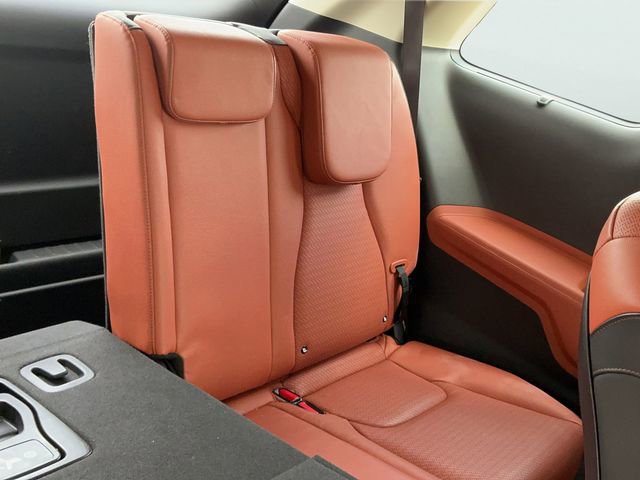 Used 2024 Kia Carnival SX Prestige image 12