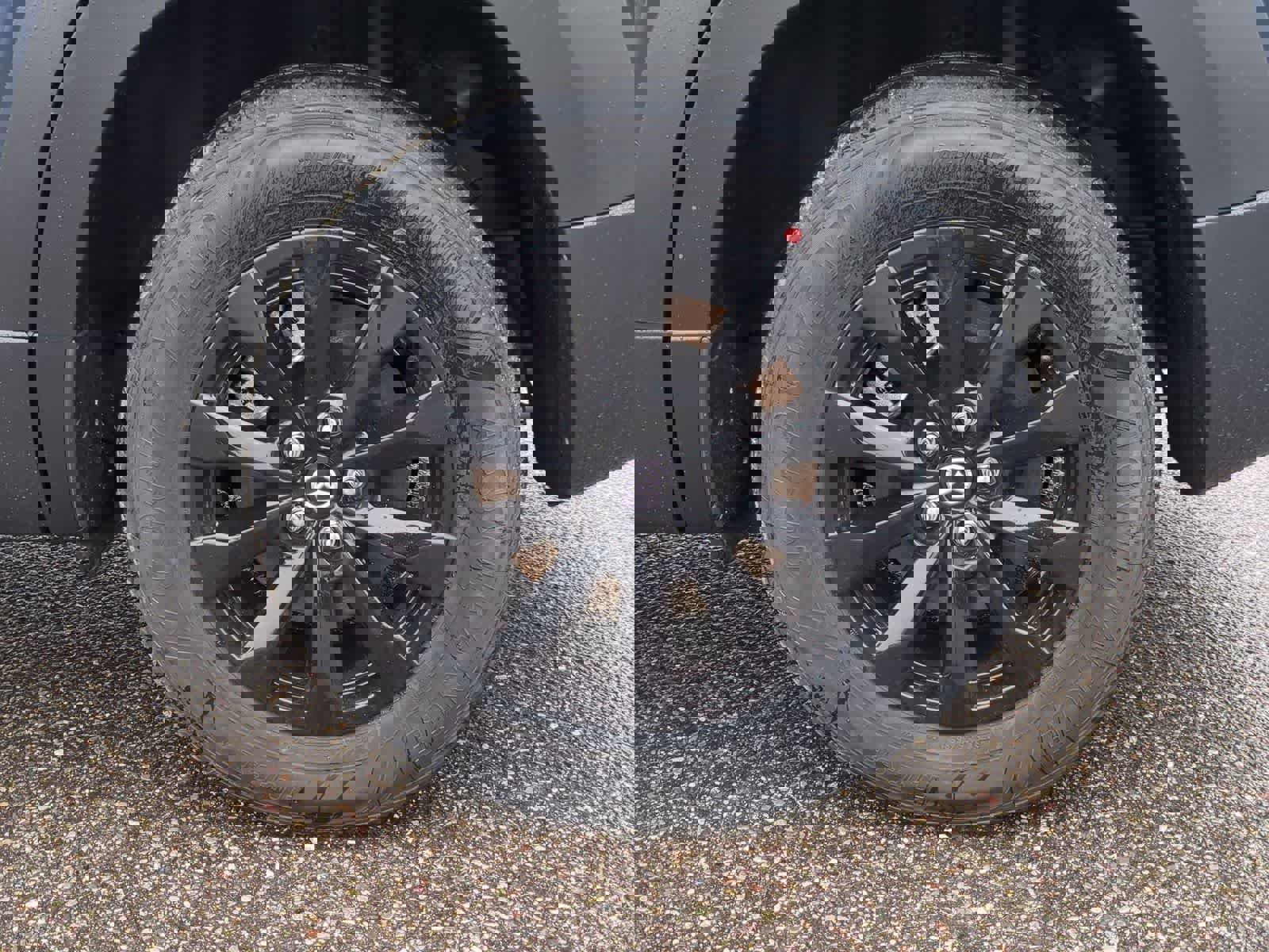 New 2026 MAZDA CX-50 AWD 2.5 Hybrid w/ Cargo Package image 13