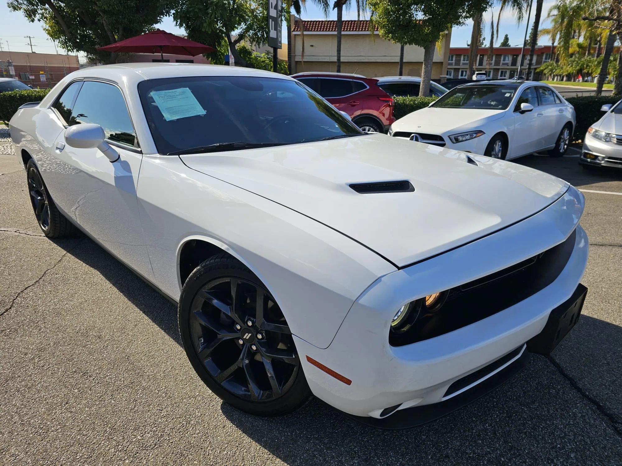 Used 2019 Dodge Challenger SXT w/ Blacktop Package image 3