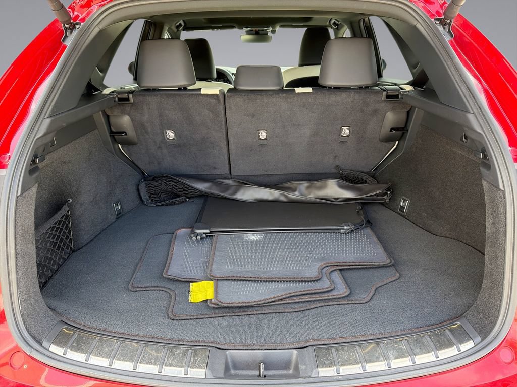 Certified 2024 Lexus NX 250 FWD w/ Cold Area Package image 13