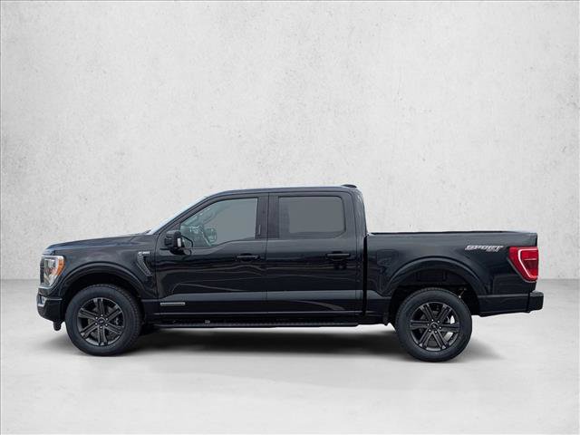 Used 2023 Ford F150 XLT w/ Equipment Group 302A High AWD/4WD image 9