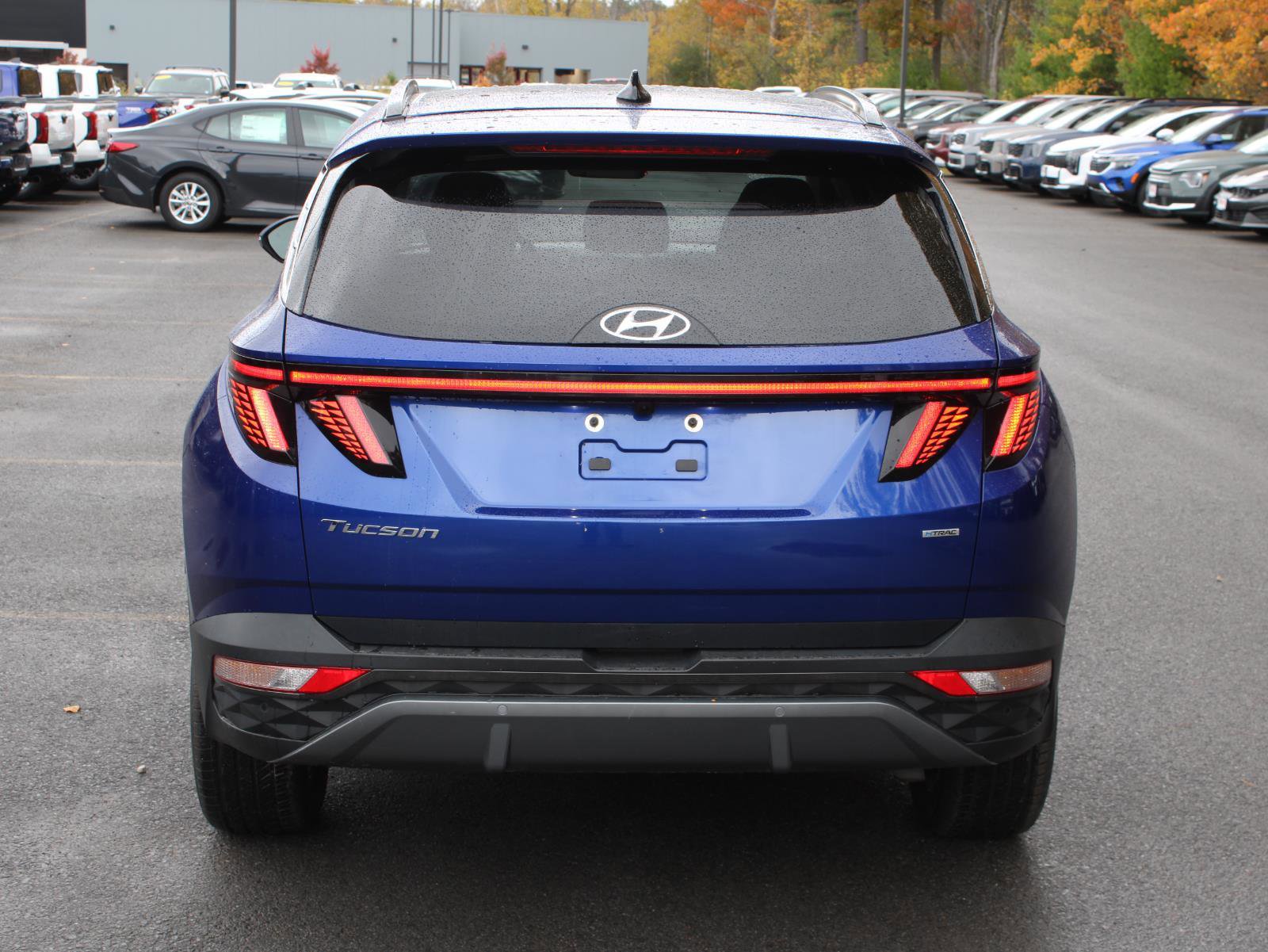 Used 2024 Hyundai Tucson Limited image 6