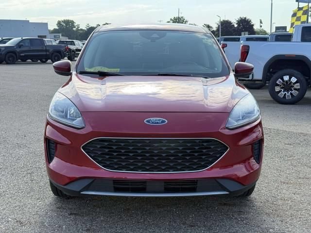 Used 2020 Ford Escape SE AWD/4WD image 3
