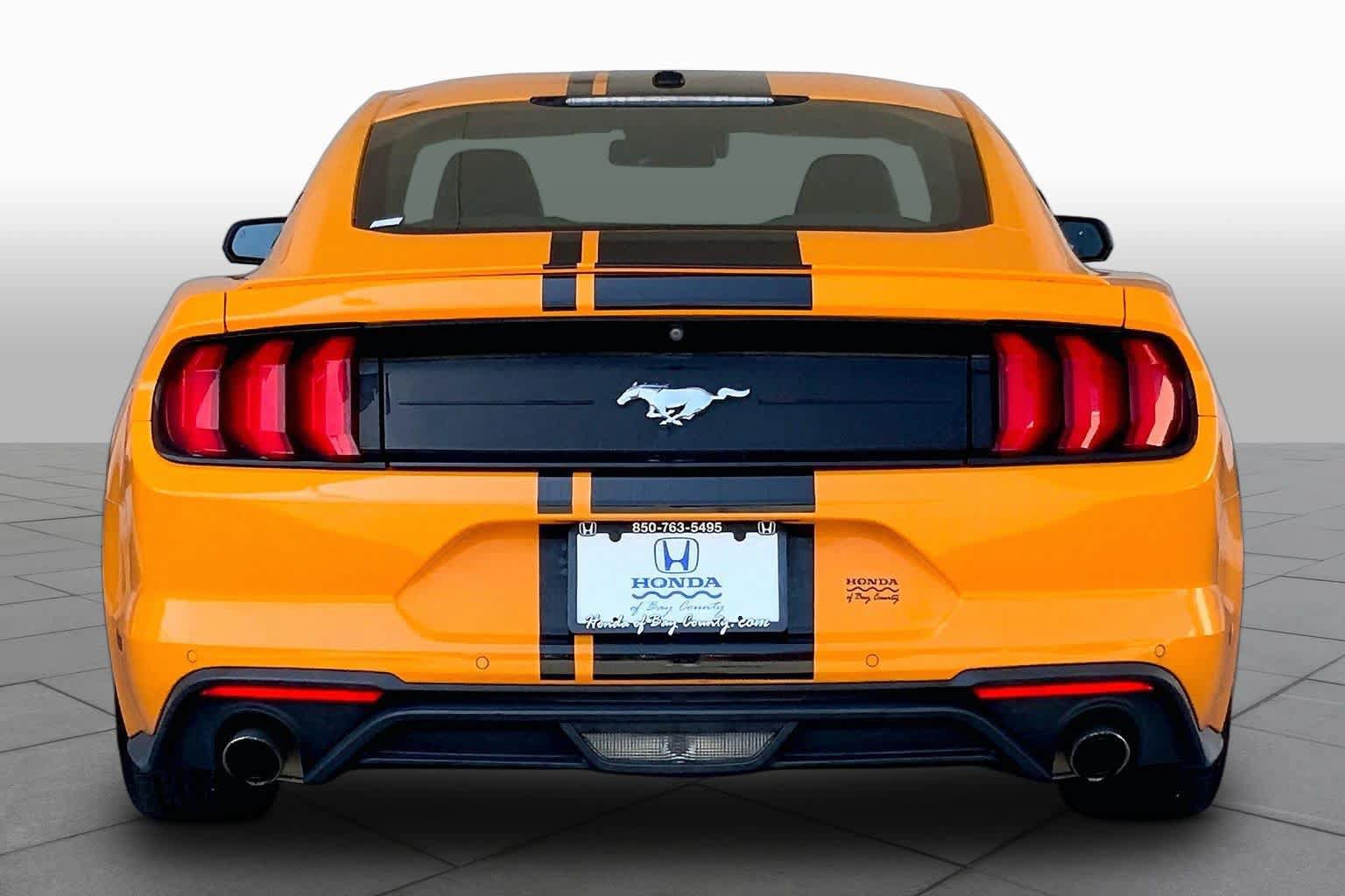 Used 2019 Ford Mustang Premium w/ Equipment Group 201A RWD image 5