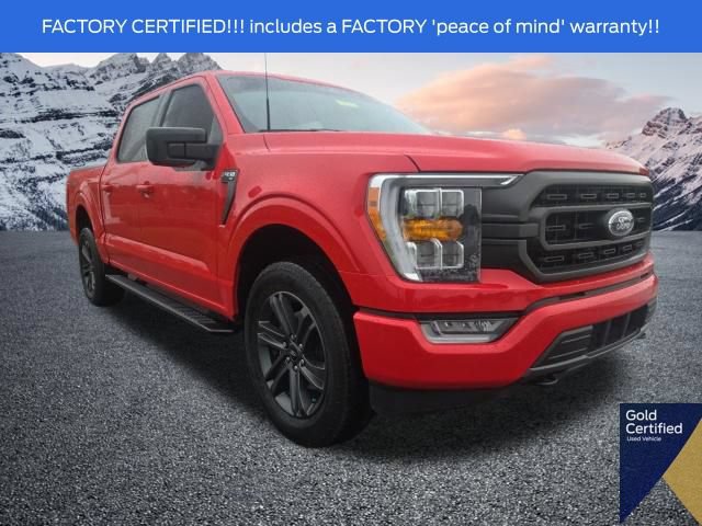 Certified 2023 Ford F150 XLT w/ Equipment Group 302A High AWD/4WD image 1