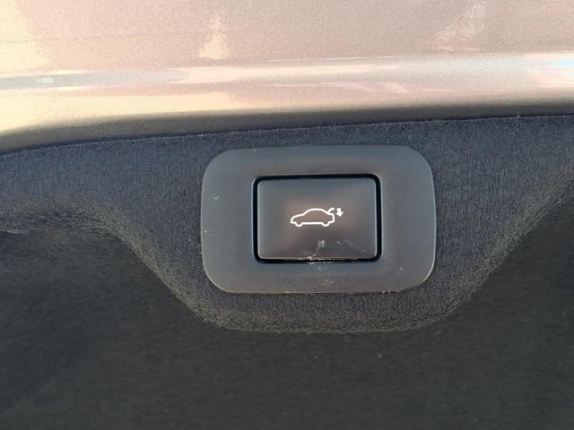 Used 2020 Lexus ES 300h w/ Luxury Package image 27