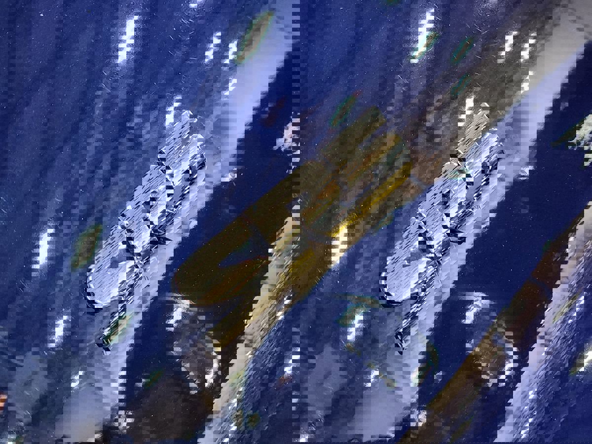 Used 2022 Toyota 4Runner SR5 Premium w/ Moonroof Package image 26