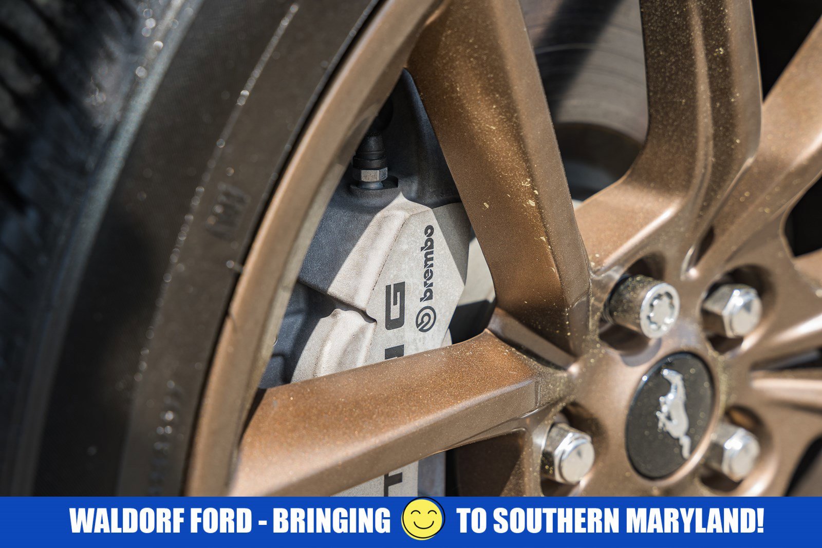 Used 2025 Ford Mustang GT Premium image 19