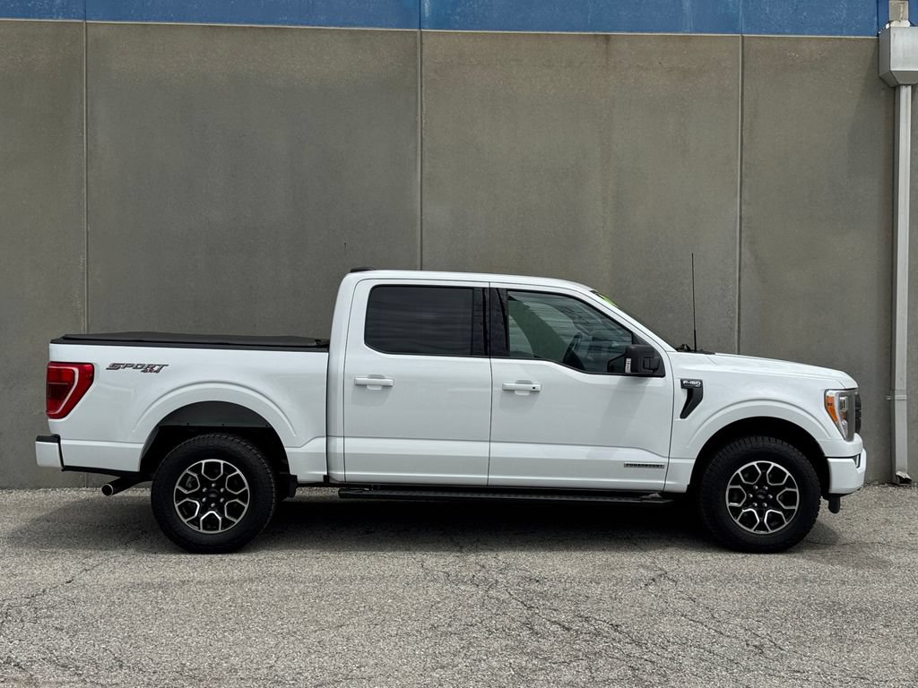Used 2023 Ford F150 XLT w/ Equipment Group 302A High AWD/4WD image 7