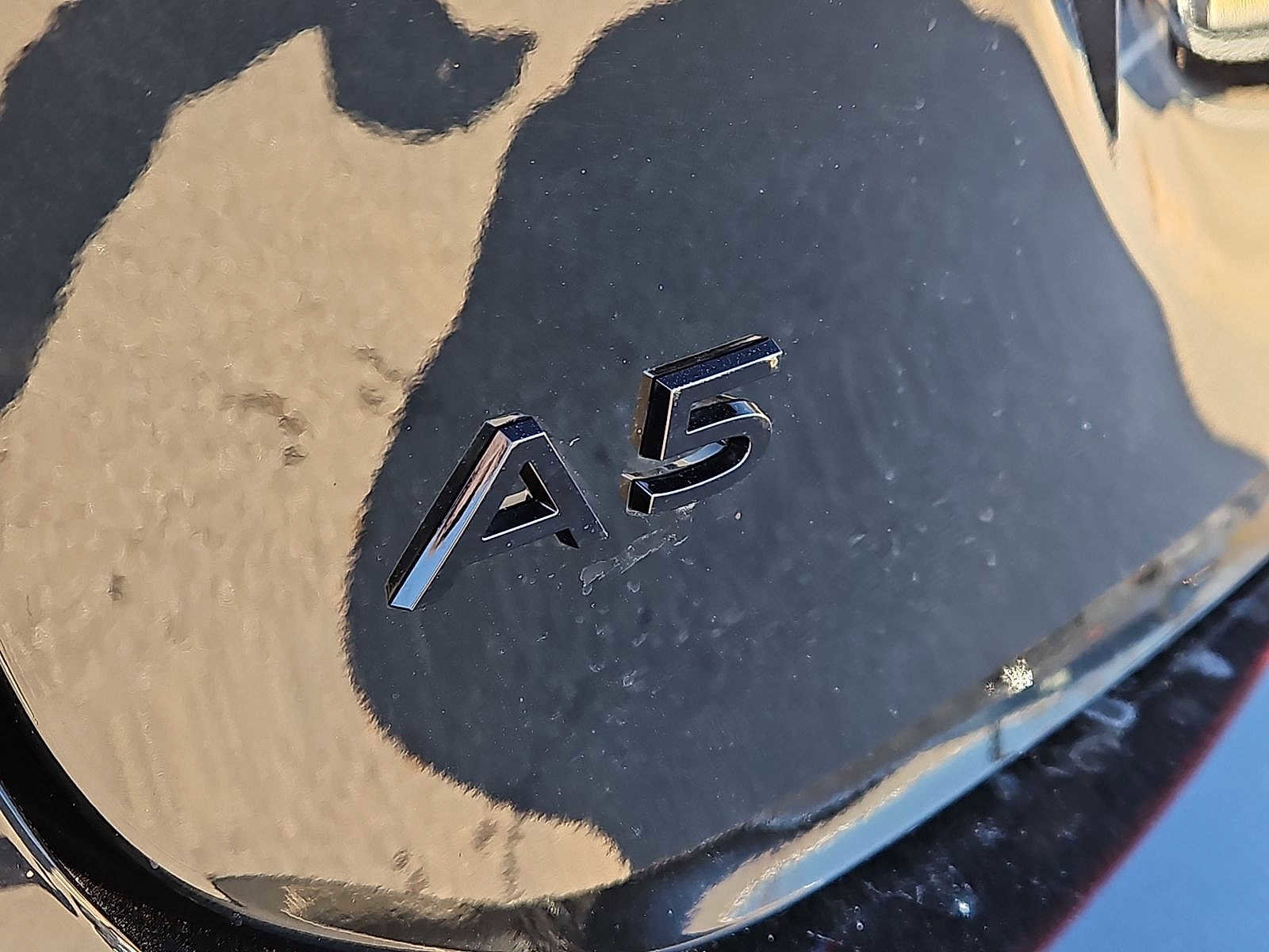 Used 2025 Audi A5 2.0T Premium Plus w/ Premium Plus image 24