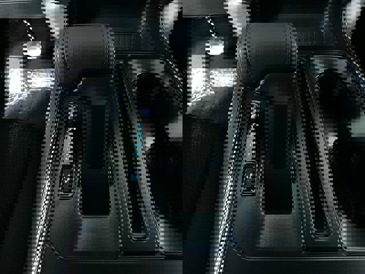 New 2025 Ford F150 XLT w/ Equipment Group 302A MID image 33