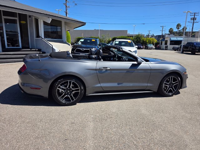 Used 2023 Ford Mustang Premium w/ Equipment Group 201A RWD image 3