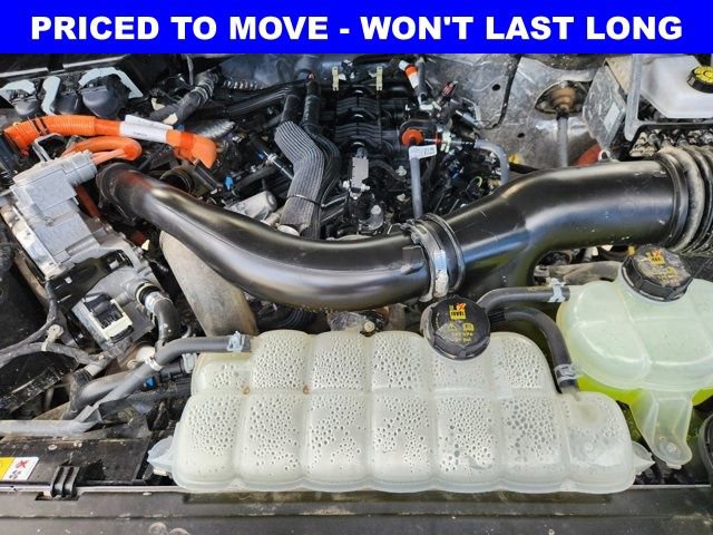 Used 2025 Ford F150 XLT w/ Equipment Group 301A Standard image 31