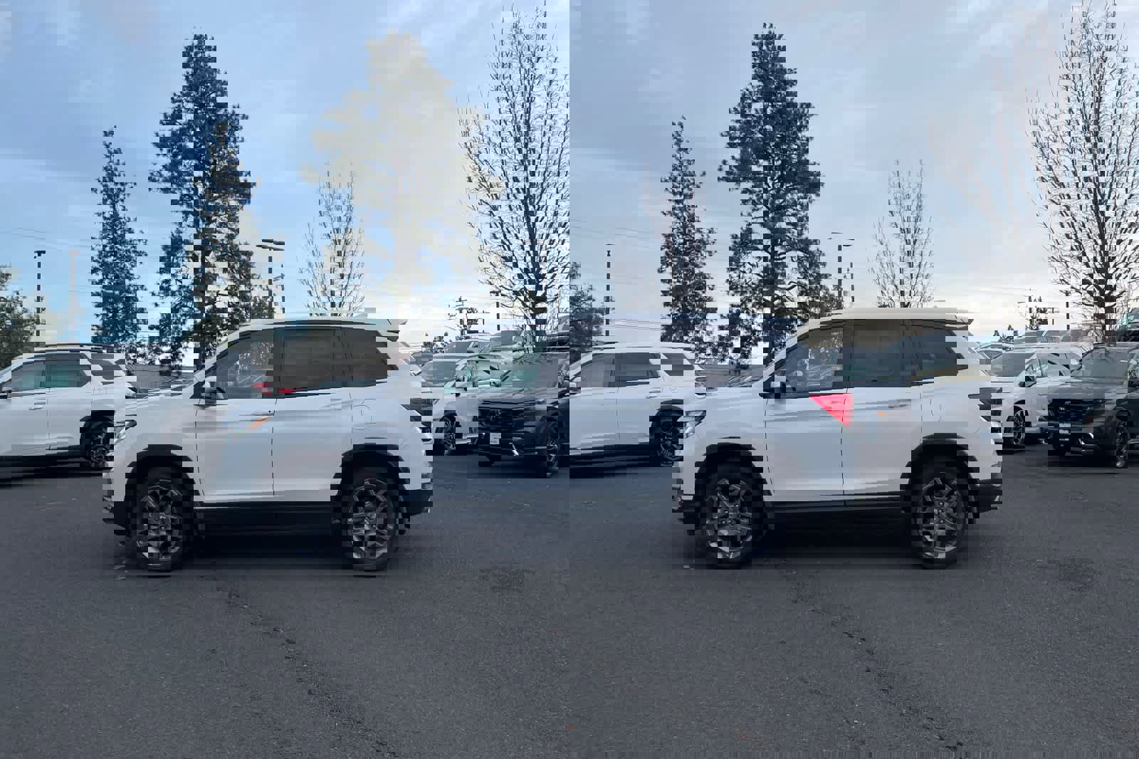 Used 2023 Honda Passport EX-L image 5