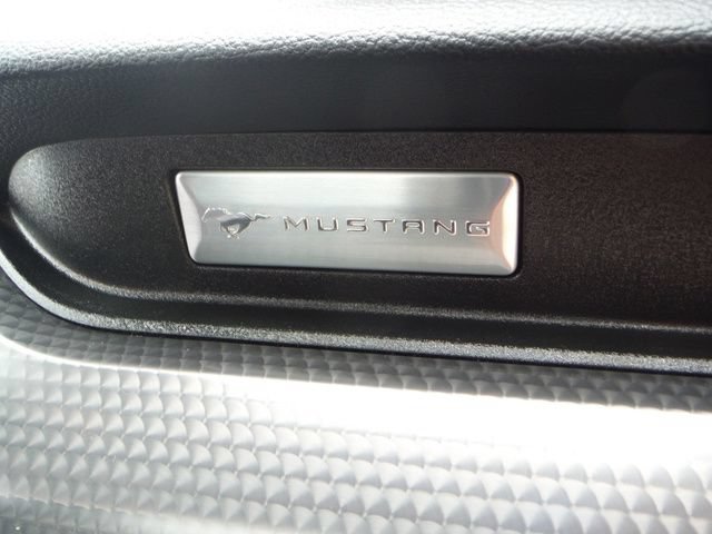 Used 2021 Ford Mustang GT Premium w/ GT Performance Package RWD image 33