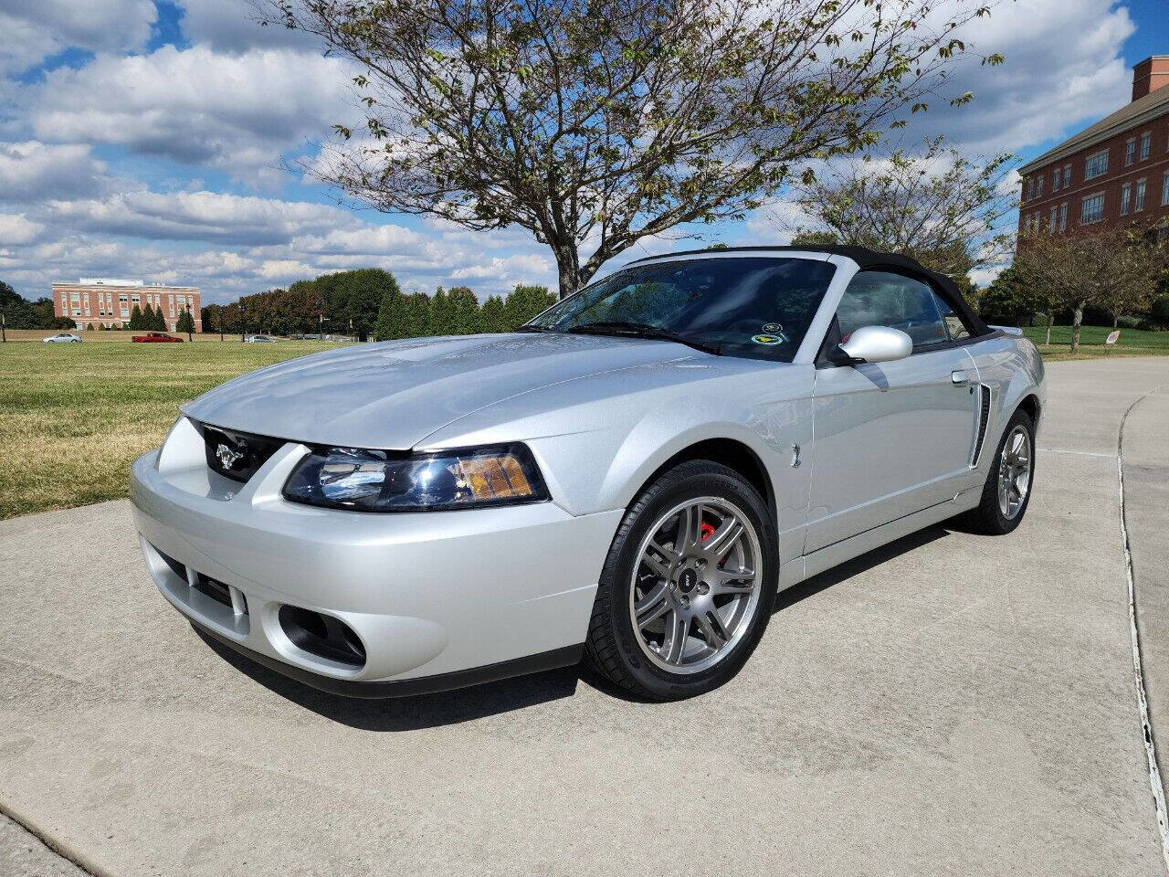 Used 2003 Ford Mustang Cobra image 2
