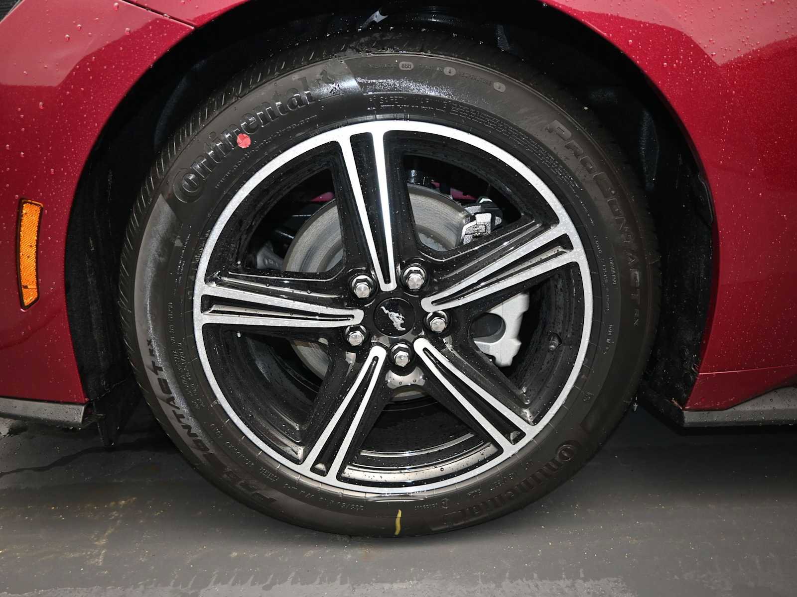 Used 2025 Ford Mustang Coupe image 11