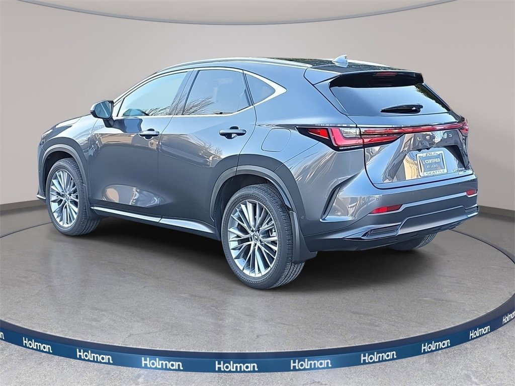 Used 2025 Lexus NX 350h AWD w/ Rear Seat Package image 7