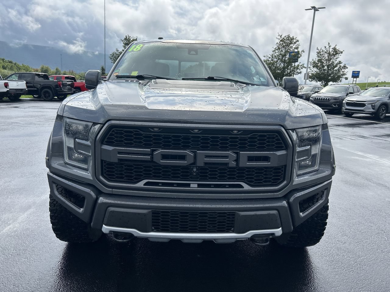 Used 2018 Ford F150 Raptor w/ Equipment Group 802A Luxury AWD/4WD image 13