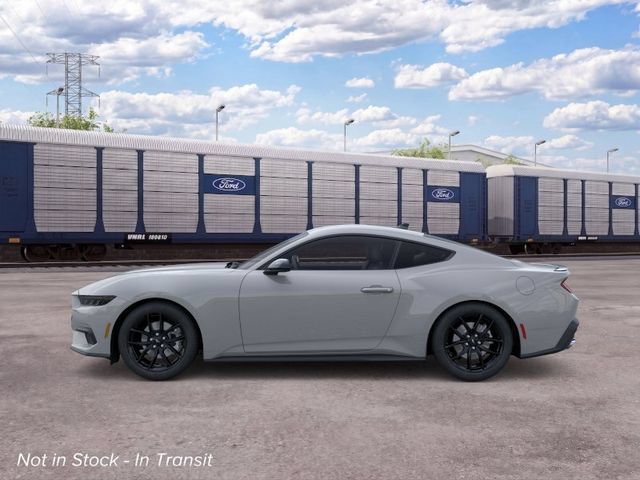 New 2026 Ford Mustang Coupe w/ Mustang Nite Pony Package RWD image 3