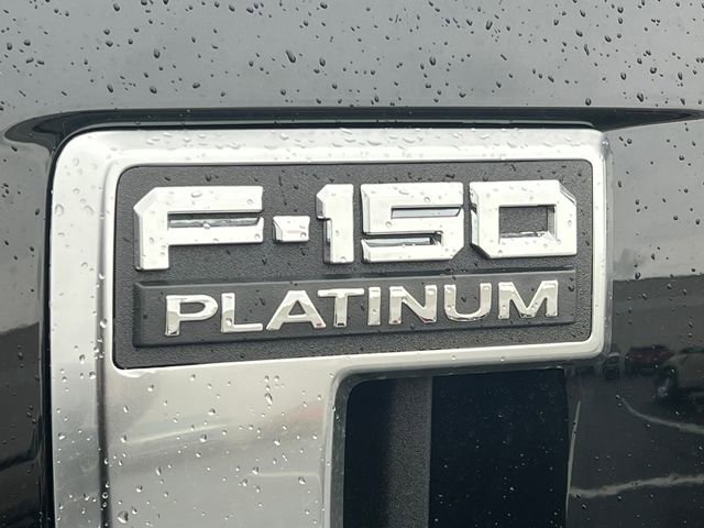 New 2026 Ford F150 Platinum image 2