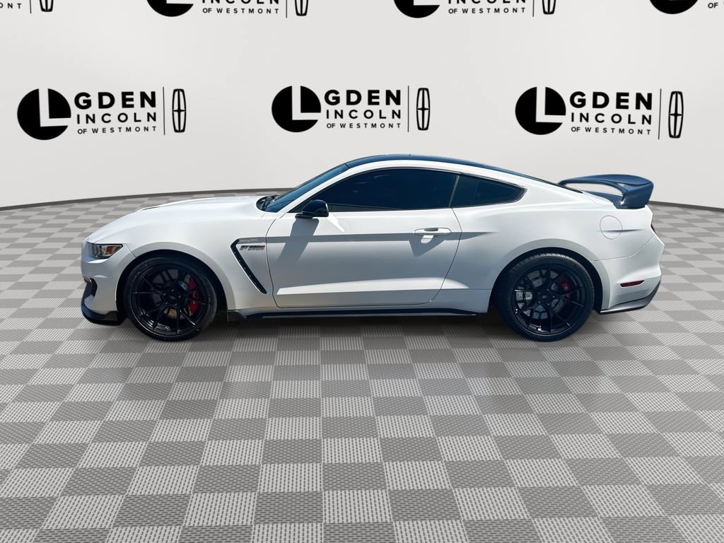 Used 2017 Ford Mustang Shelby GT350R w/ GT350R Equipment Group 920A RWD image 5