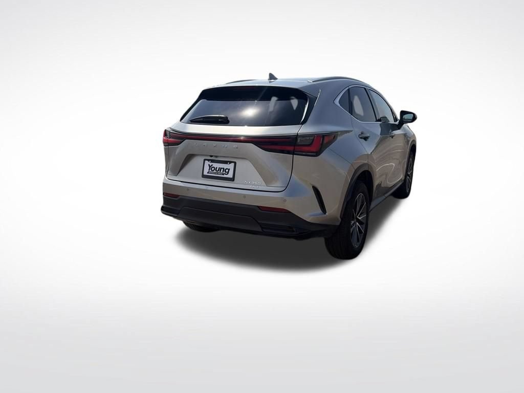 Used 2025 Lexus NX 350 AWD w/ Cold Area Package image 5