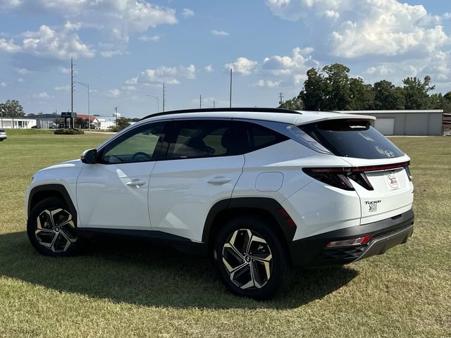 Used 2024 Hyundai Tucson Limited image 13