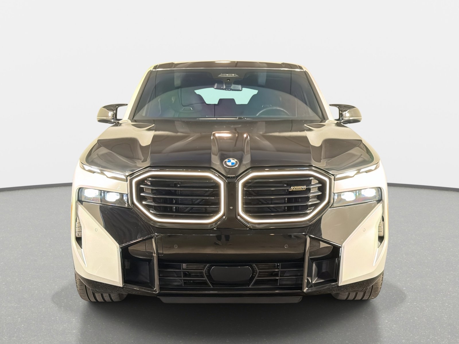 Used 2025 BMW XM image 8