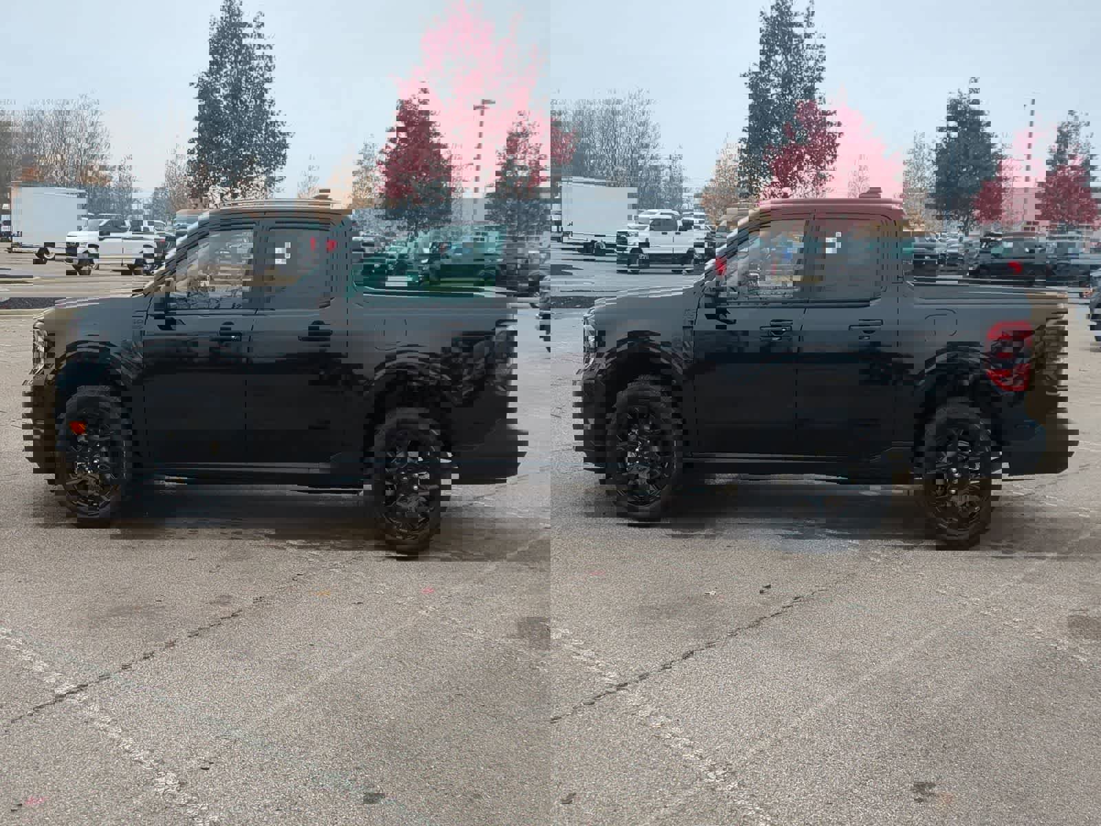 New 2025 Ford Maverick XLT w/ XLT Luxury Package image 5