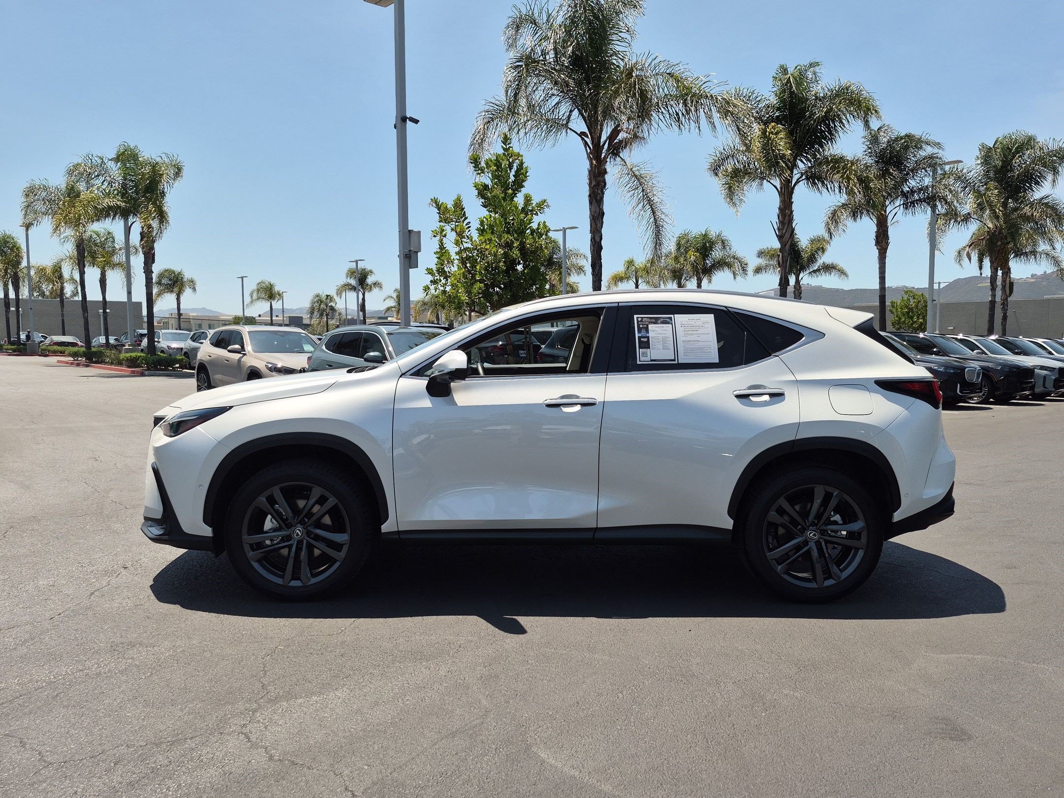 Used 2025 Lexus NX 450h+ AWD w/ Accessory Package (K3) image 7