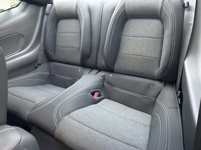 New 2026 Ford Mustang Coupe w/ Mustang Nite Pony Package image 15