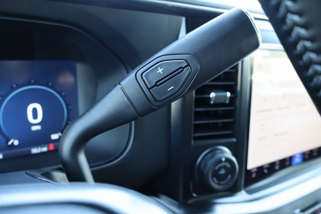 New 2026 Ford F250 Platinum w/ Tremor Off-Road Package image 32